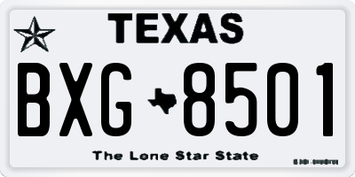 TX license plate BXG8501