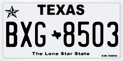 TX license plate BXG8503