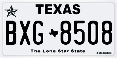 TX license plate BXG8508