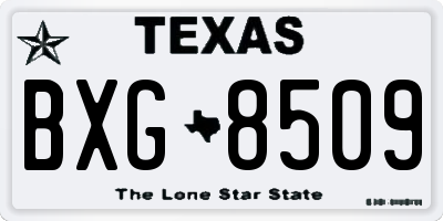 TX license plate BXG8509