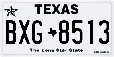 TX license plate BXG8513