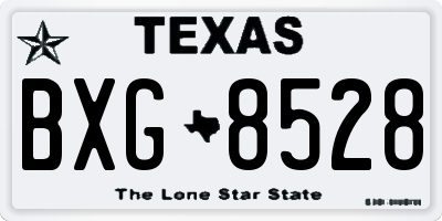 TX license plate BXG8528