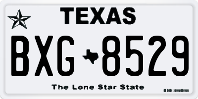 TX license plate BXG8529