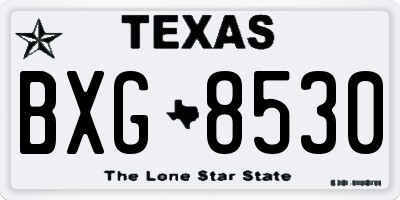 TX license plate BXG8530