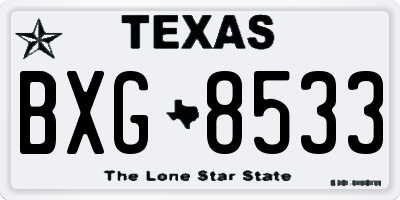 TX license plate BXG8533