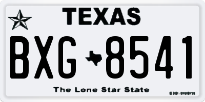 TX license plate BXG8541