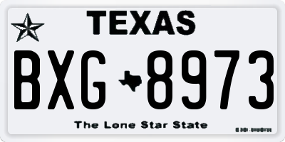 TX license plate BXG8973