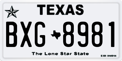 TX license plate BXG8981