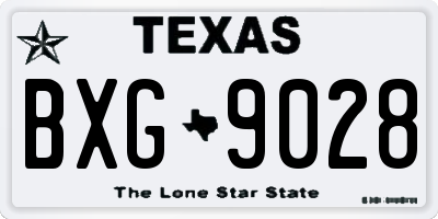 TX license plate BXG9028