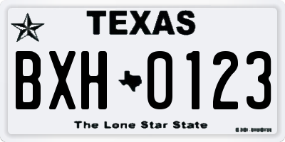 TX license plate BXH0123