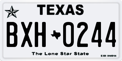 TX license plate BXH0244