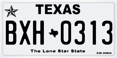 TX license plate BXH0313
