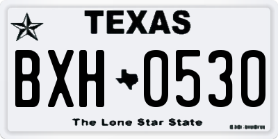 TX license plate BXH0530