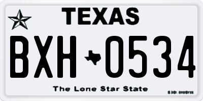 TX license plate BXH0534
