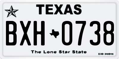 TX license plate BXH0738