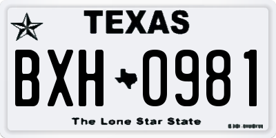 TX license plate BXH0981