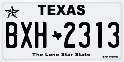 TX license plate BXH2313