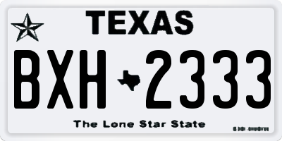TX license plate BXH2333