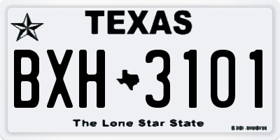 TX license plate BXH3101