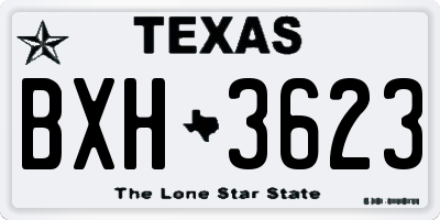 TX license plate BXH3623