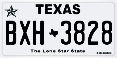 TX license plate BXH3828