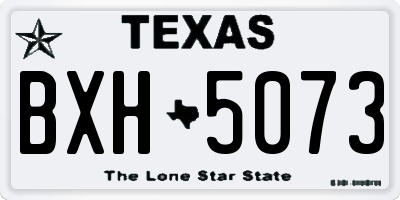 TX license plate BXH5073