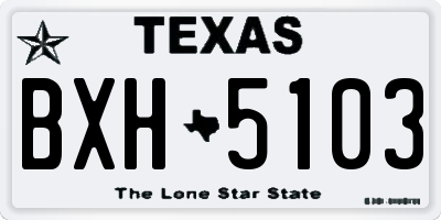 TX license plate BXH5103