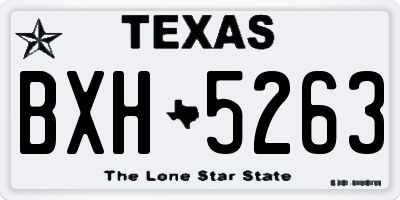 TX license plate BXH5263
