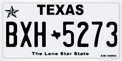 TX license plate BXH5273