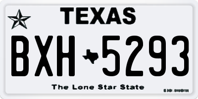 TX license plate BXH5293