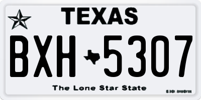 TX license plate BXH5307