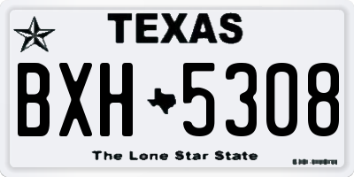 TX license plate BXH5308