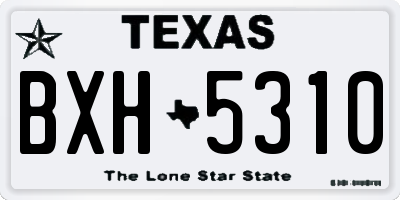 TX license plate BXH5310