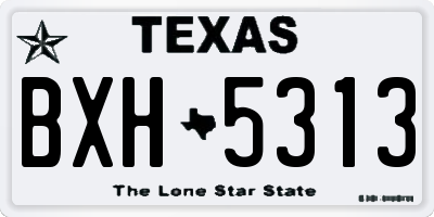 TX license plate BXH5313