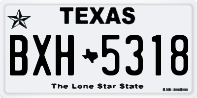 TX license plate BXH5318