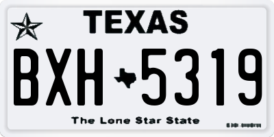 TX license plate BXH5319