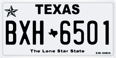 TX license plate BXH6501