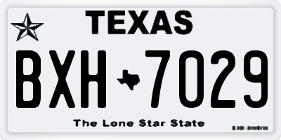 TX license plate BXH7029