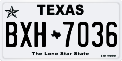 TX license plate BXH7036