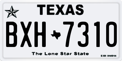 TX license plate BXH7310