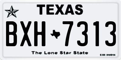 TX license plate BXH7313