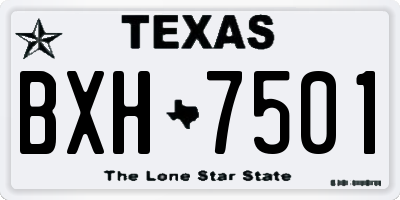 TX license plate BXH7501