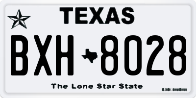 TX license plate BXH8028