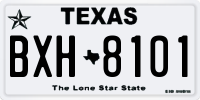 TX license plate BXH8101