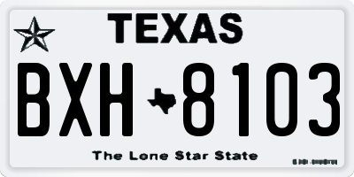 TX license plate BXH8103
