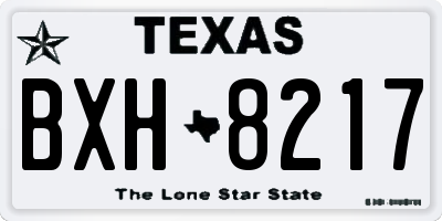 TX license plate BXH8217