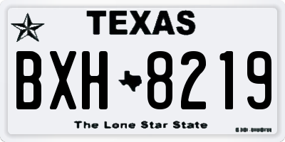 TX license plate BXH8219