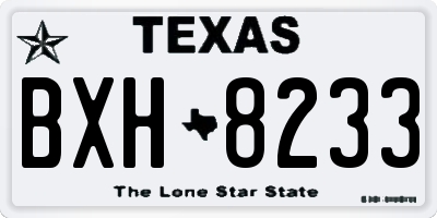 TX license plate BXH8233