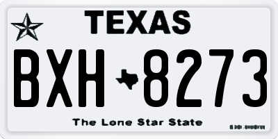 TX license plate BXH8273