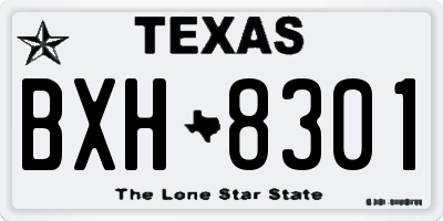 TX license plate BXH8301